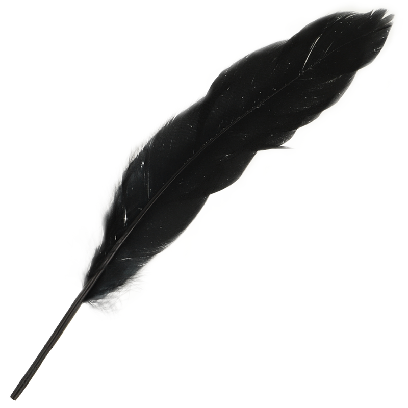 Ohmama - couples ensemble numéro 3