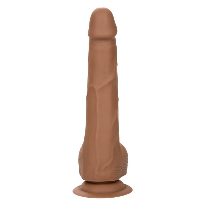 CalExotics - Gode Réaliste Courbé en Silicone Marron - 20,32 cm