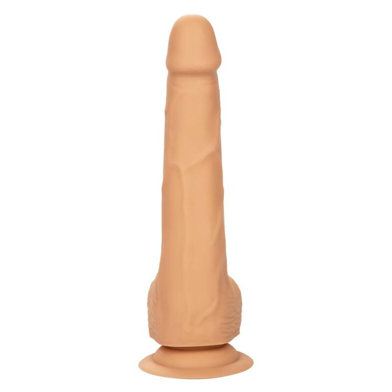 CalExotics - Gode Réaliste Courbé en Silicone - 20,32 cm