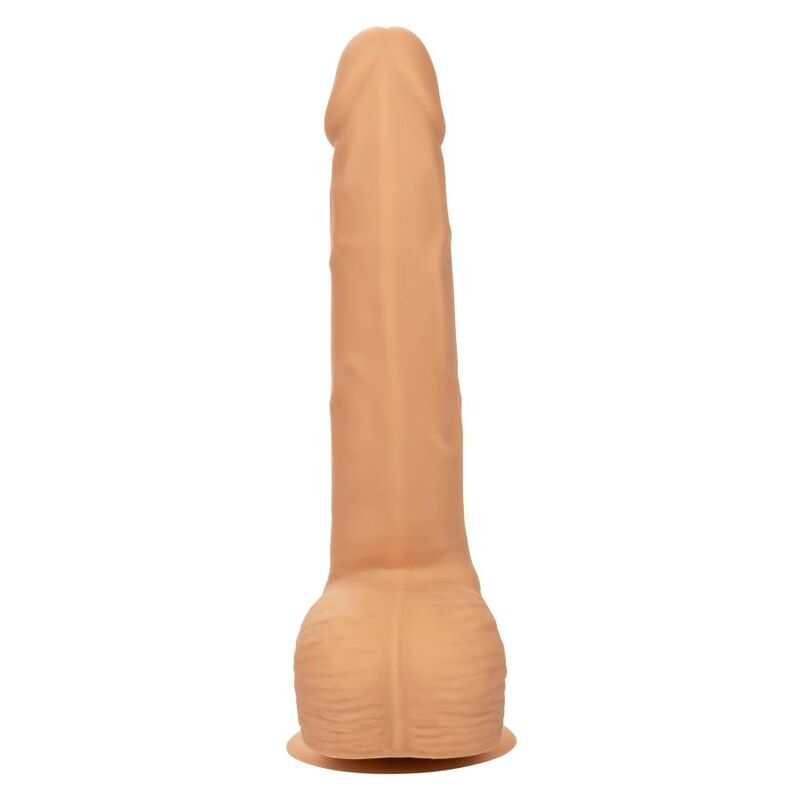CalExotics - Gode Réaliste Courbé en Silicone - 20,32 cm