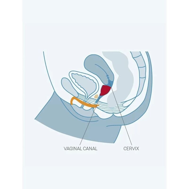 Fun Factory - Cup Menstruelle Fun Cup Taille B - Fuchsia