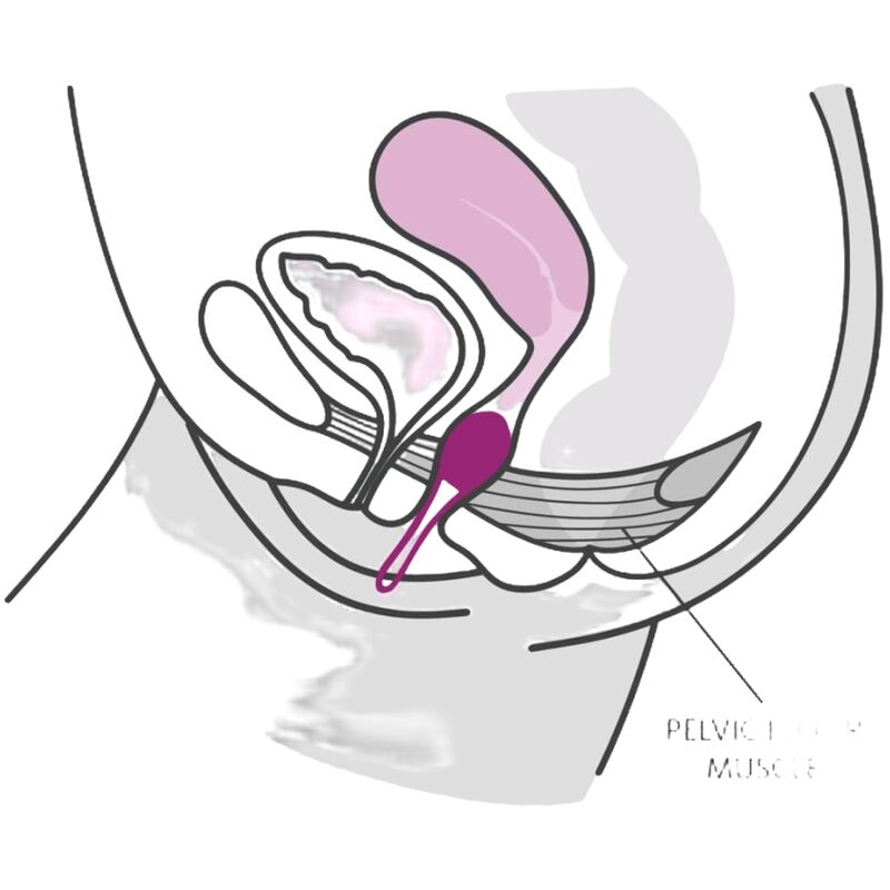 Fun Factory - Smartball Uno pour Renforcement Plancher Pelvien - Vert