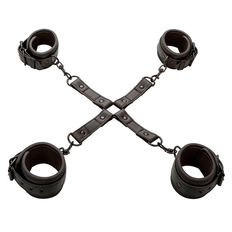 Calexotics – Connecteur Hogtie en X en Cuir Noir Ajustable