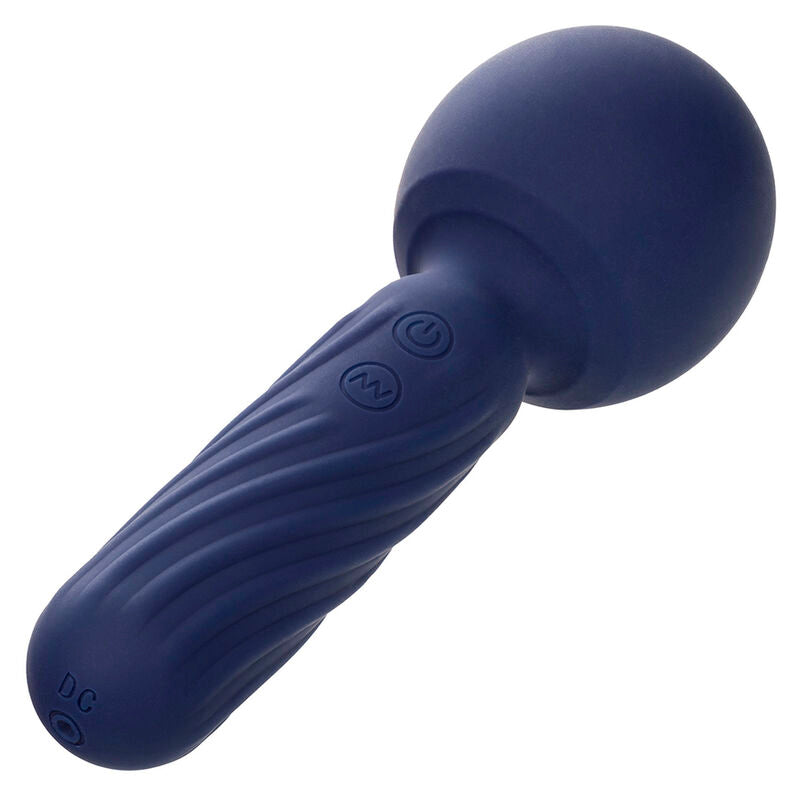 Calexotics - Masseur Étanche Charisma Seduction - 12 Vitesses - Violet
