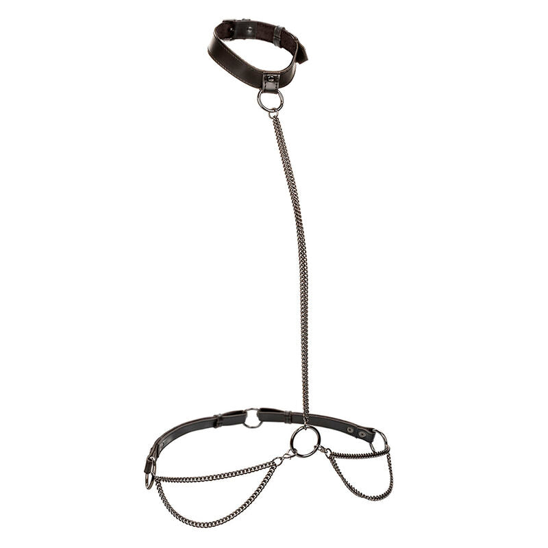 Collier Laisse Chaîne Euphoria Cuir Végétalien - CalExotics