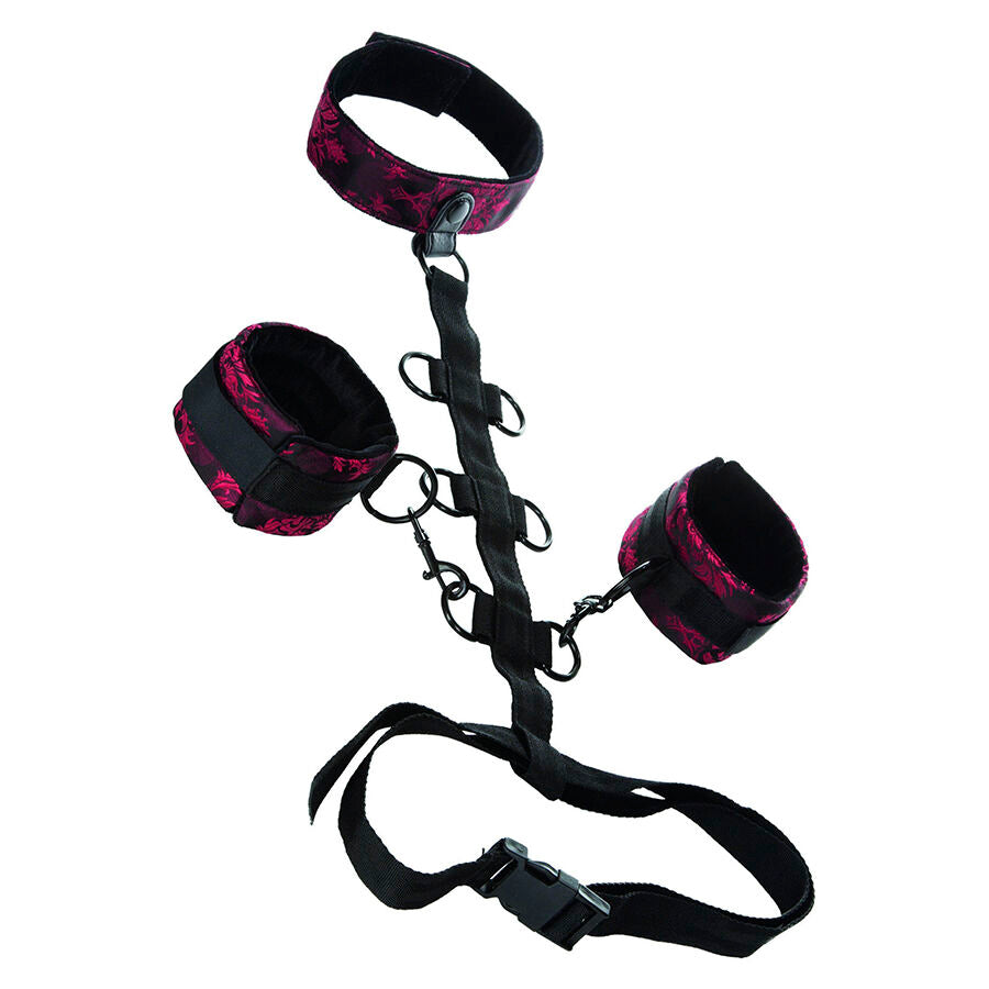 CALEXOTICS - SCANDAL SUPPORT COMPORAL AVEC COU