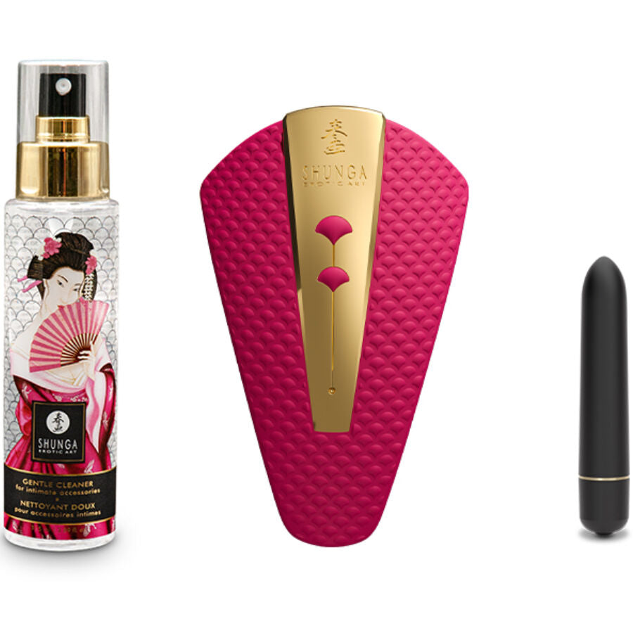 Shunga - Calendrier de l’Avent Érotique 2025 – Édition Spéciale 25e Anniversaire
