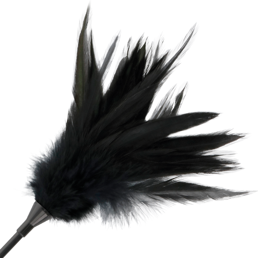 Darkness - fouet à plumes noires