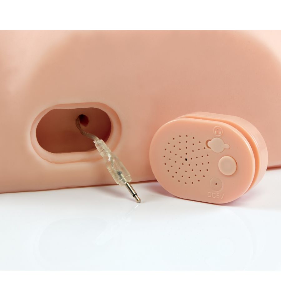 Pdx male - interactif baisez-le silly