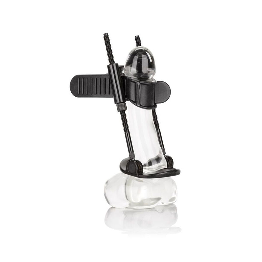 Calexotics - extension de pénis