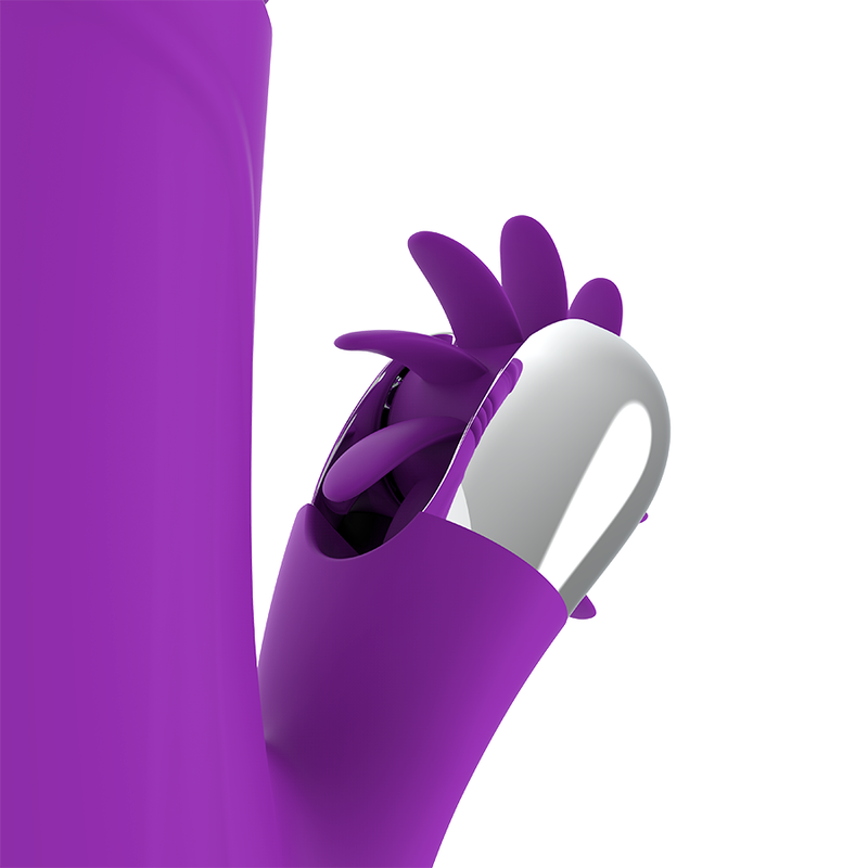 Fun function - lapin drôle haut et bas 2.0