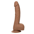 CalExotics - Gode Réaliste Courbé en Silicone Marron - 20,32 cm
