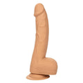 CalExotics - Gode Réaliste Courbé en Silicone - 20,32 cm
