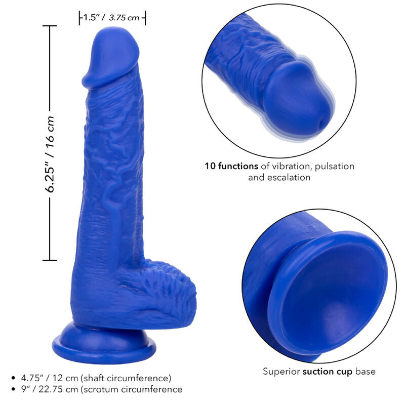 Calexotics - admiral vibrateur gode réaliste sailor bleu