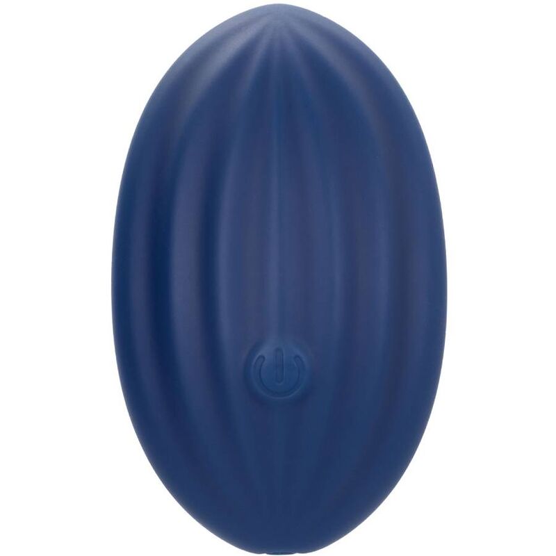 CALEXOTICS - CASHMERE VELOURS CURVE BLEU