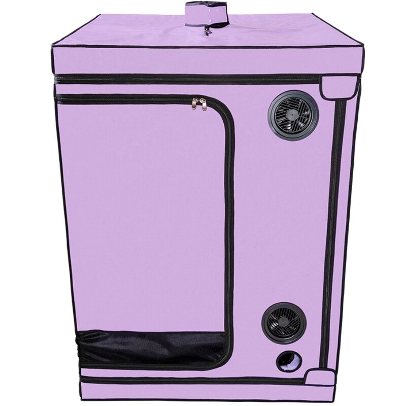 Secret Dome - Cabine BDSM ’Bondage box’ Scandale - Violet et Noir