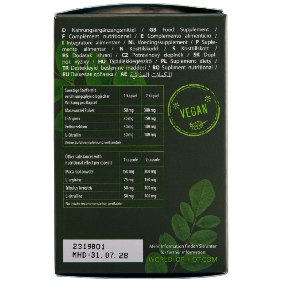 HOT - MORINGA BOÎTES POUR HOMMES 60 UNITÉS