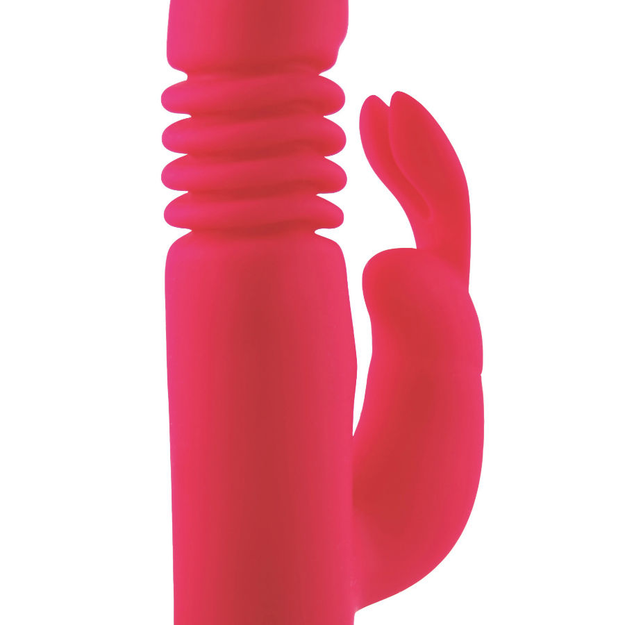 Vibromasseur Rabbit Treasure Missouri Rose - Treasure Toys - DREAMLOVE OUTLET