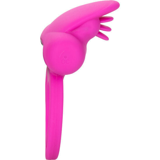 Calexotics - améliorateur de scintillement double clito